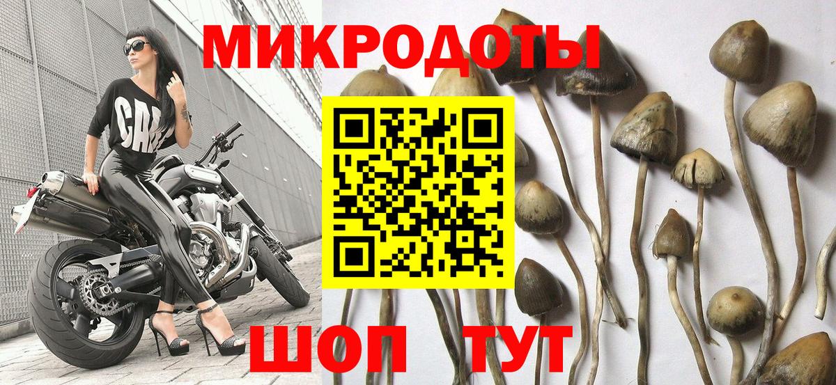 Галлюциногенные грибы Cubensis Дубна