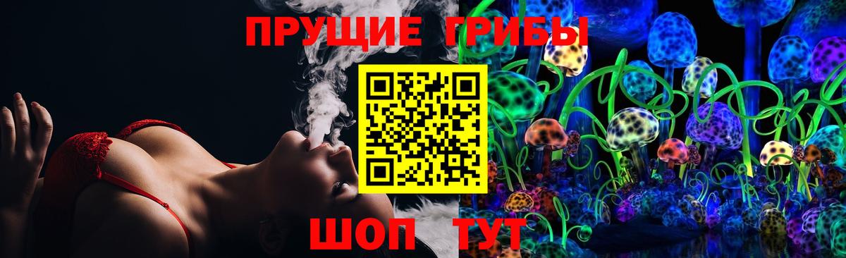 Дубна  Псилоцибиновые грибы GOLDEN TEACHER  Вход с VPN 